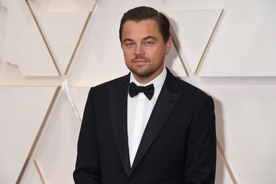 Leonardo Dicaprio Poster 3932489