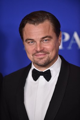 Leonardo Dicaprio Poster 3932490