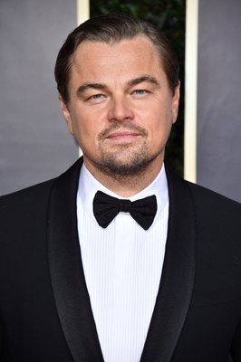 Leonardo Dicaprio Poster 3932492