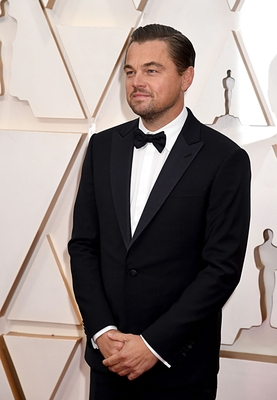Leonardo Dicaprio Poster 3932493