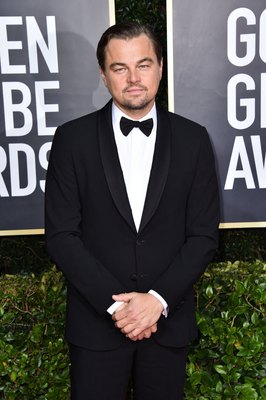 Leonardo Dicaprio Poster 3932494