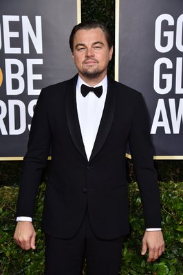 Leonardo Dicaprio Poster 3932496