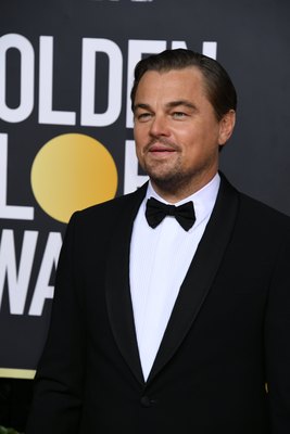 Leonardo Dicaprio Poster 3932497