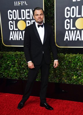 Leonardo Dicaprio Poster 3932498