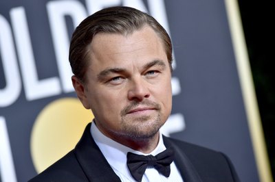 Leonardo Dicaprio Poster 3932499