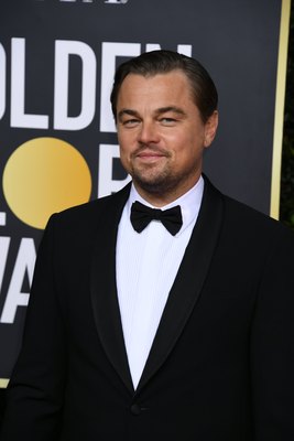 Leonardo Dicaprio Poster 3932501