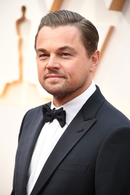 Leonardo Dicaprio Poster 3932505
