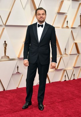 Leonardo Dicaprio Poster 3932507