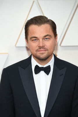 Leonardo Dicaprio Poster 3932508