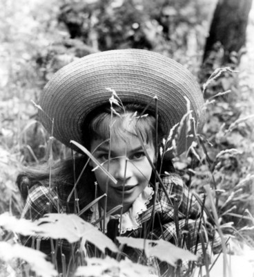 Leslie Caron Poster 1534143