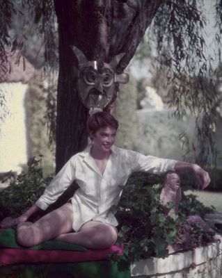 Leslie Caron Poster 2682979