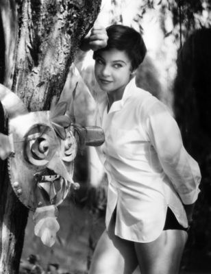 Leslie Caron Poster 2682993