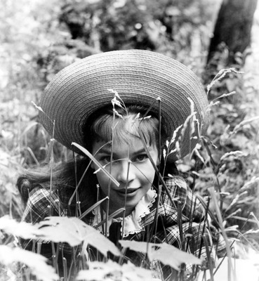 Leslie Caron Poster 2683039