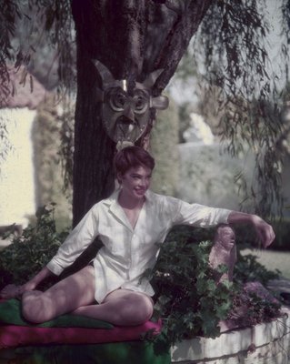 Leslie Caron Poster 2683104