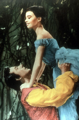 Leslie Caron Poster 2683170