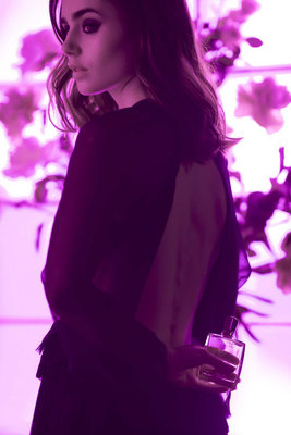 Lily Collins Poster 3133639