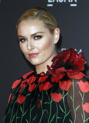 Lindsey Vonn Poster 2873260