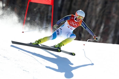 Lisa Hoernblad Poster 3640058