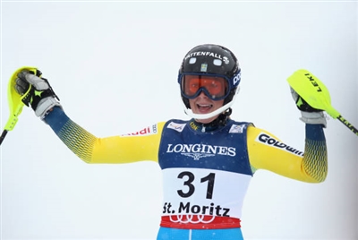 Lisa Hoernblad Poster 3640060