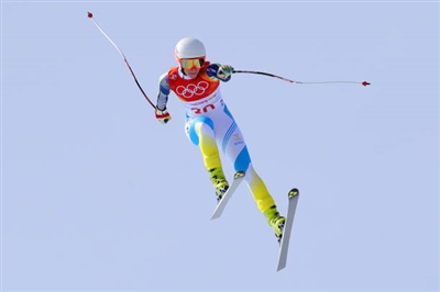 Lisa Hoernblad Poster 3640066