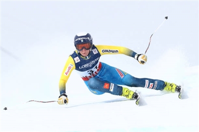 Lisa Hoernblad Poster 3640069