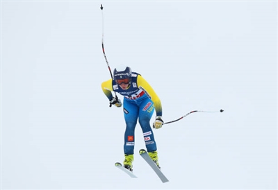 Lisa Hoernblad Poster 3640070