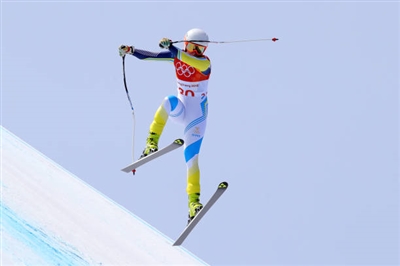 Lisa Hoernblad Poster 3640075
