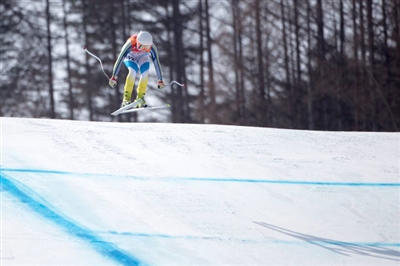 Lisa Hoernblad Poster 3640077