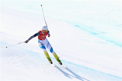 Lisa Hoernblad Poster 3640078