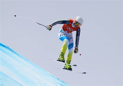 Lisa Hoernblad Poster 3640082