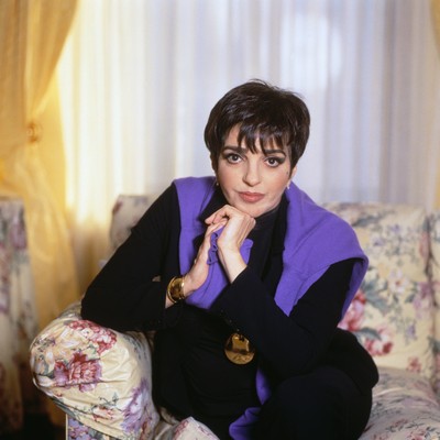 Liza Minnelli Poster 2335607
