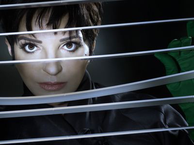 Liza Minnelli Poster 2551733