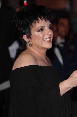 Liza Minnelli Poster 2551736