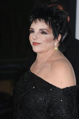 Liza Minnelli Poster 2551743