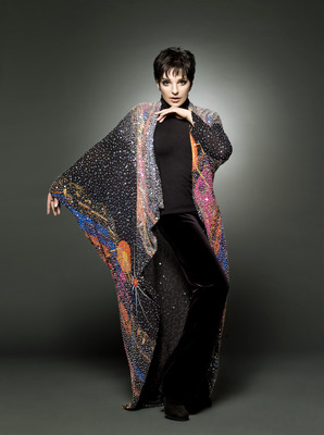 Liza Minnelli Poster 2551747