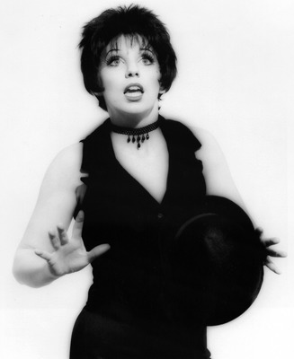 Liza Minnelli Poster 2551748