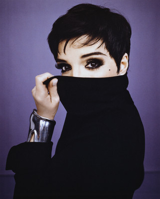 Liza Minnelli Poster 2551751