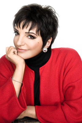 Liza Minnelli Poster 2551755