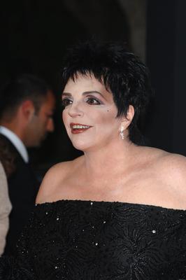 Liza Minnelli Poster 2551757