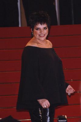Liza Minnelli Poster 2551763