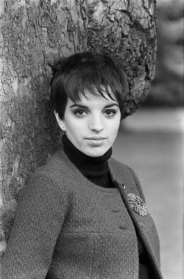 Liza Minnelli Poster 2587553