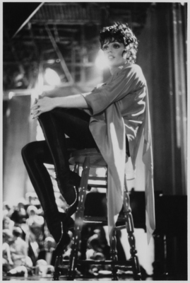 Liza Minnelli Poster 2587559