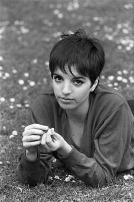 Liza Minnelli Poster 2587564