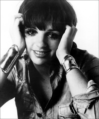 Liza Minnelli Poster 2587670