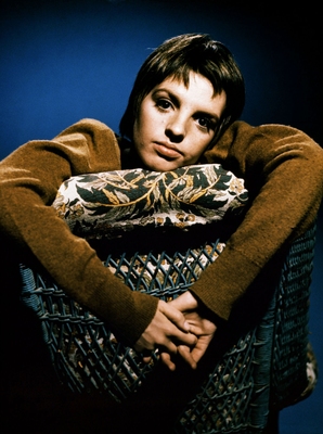 Liza Minnelli Poster 2587681