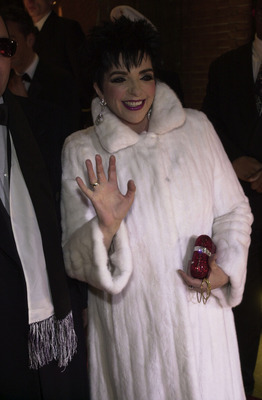 Liza Minnelli Poster 2669327