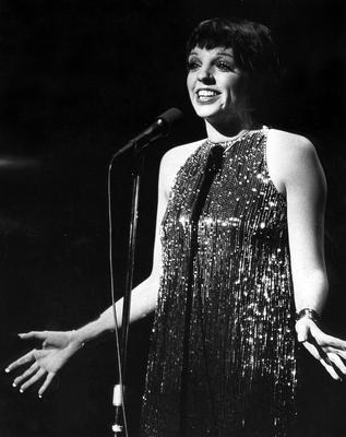 Liza Minnelli Poster 2669328