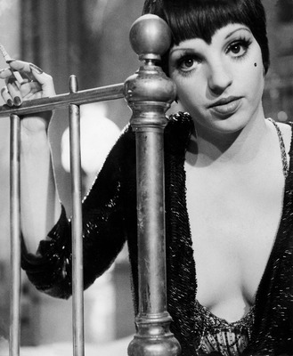 Liza Minnelli Poster 2669347