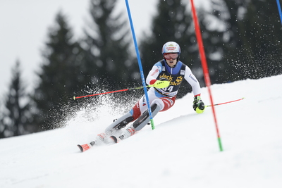 Loic Meillard Poster 2947218