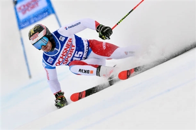 Loic Meillard Poster 3650196